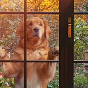 Ai Animatic für Nestle  Nestle Storyboard