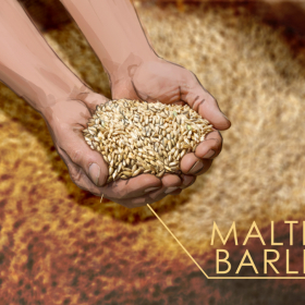 Storyboards, Animatics, Animatiosstudio Storyboards, Animatics, Animatiosstudio