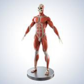 3D VISUALISIERUNG - ANIMATION - CHARACTER STUDIO,  3D Erklärvide 3D VISUALISIERUNG - ANIMATION - CHARACTER STUDIO,  3D Erklärvide