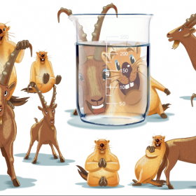 animierte Gifs und Erklärfilm animierte Gifs und Erklärfilm