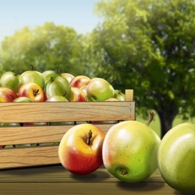 Axel lang 21 Axel lang 21