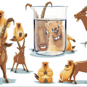 Charakterdesigner Charakterdesigner