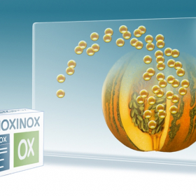 Storyboards/Animatics Storyboards/Animatics