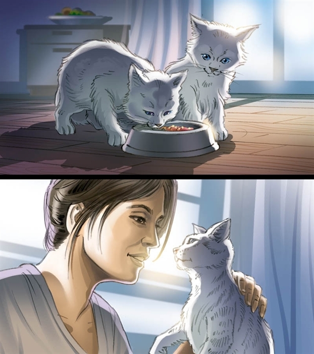 Cats storyboard