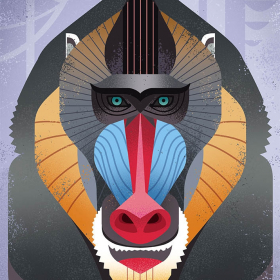 Vektor Illustrationen Vektor Illustrationen