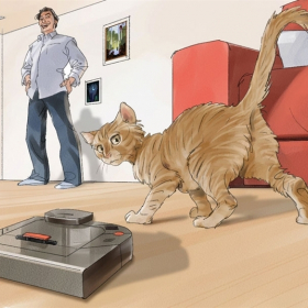 Cat ernesto melo Cat ernesto melo