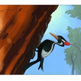 Woodpecker Woodpecker