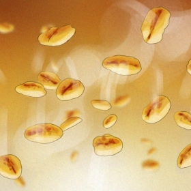 Storyboards, People, Kids, Sport, Food Storyboards, People, Kids, Sport, Food