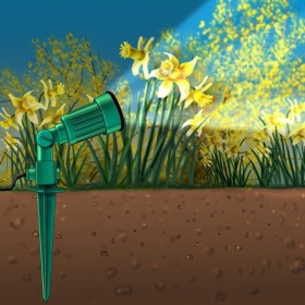 Plantspot 1 Plantspot 1