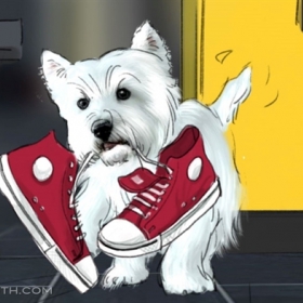 C Shoes Active Frame03 C Shoes Active Frame03