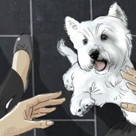 C Welcome Frame06 C Welcome Frame06