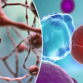 3D Artist für Pharma und Medizin 3D Artist für Pharma und Medizin