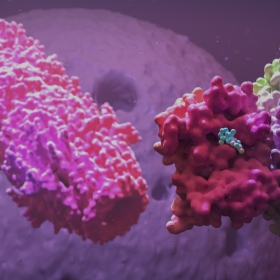 3D Artist für Pharma und Medizin 3D Artist für Pharma und Medizin