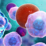 3D Artist für Pharma und Medizin