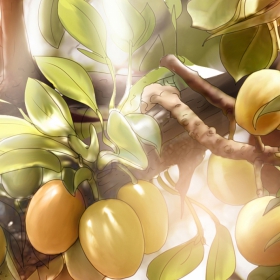 Hammock 01 Hammock 01