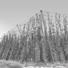 Mehrzeit 01 Mehrzeit 01