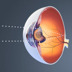 3D Animationen für Medizin & Pharma