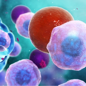 Medizinische Animationen Immunsytem Kunde Pfizer Medizinische Animationen Immunsytem Kunde Pfizer