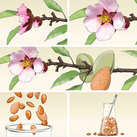 Storyboards, Animatics, Visuals für die MaFo, Moodfilme, Food, P Storyboards, Animatics, Visuals für die MaFo, Moodfilme, Food, P